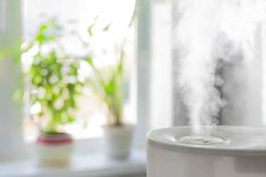 「加湿器」をしまうのはまだ早い!! 3～5月〝春にこそ〟必要な理由