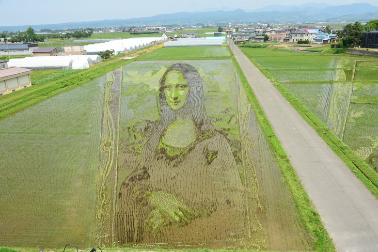 6月時点での「モナリザ」の様子