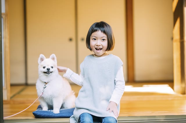 犬と少女