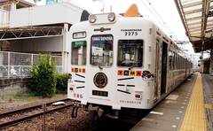 猫型電車が走る!?和歌山電鐵の魅力に迫る