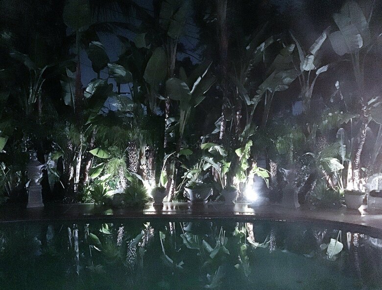 自宅のプール。夜にはライトアップされて、まるでビーチリゾートにいるよう！