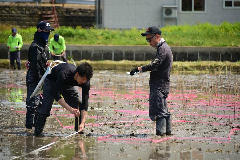 田植え体験ツアーの様子