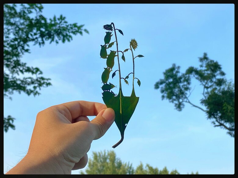 ひまわりの種、取れた？／『いつでも君のそばにいる』（講談社）