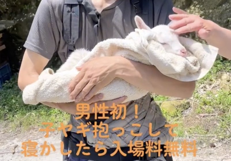 寝かしつけに成功!