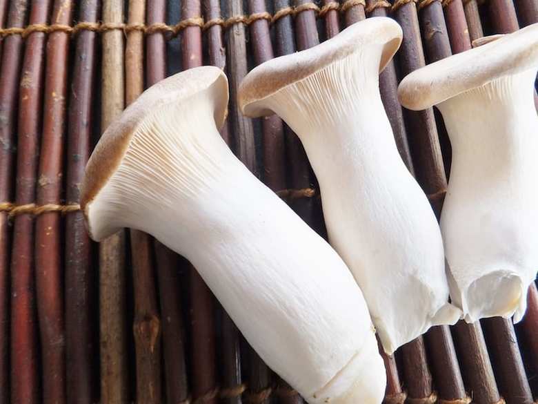 画像：写真ACより