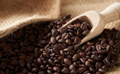 「缶と喫茶店のコーヒーの違いは豆の品種？」苦味が強いのはロブスタ種