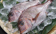 オリーブオイルで焼くのがコツ!?ホラン千秋さんの絶品洋風鯛飯