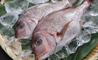 オリーブオイルで焼くのがコツ!?ホラン千秋さんの絶品洋風鯛飯