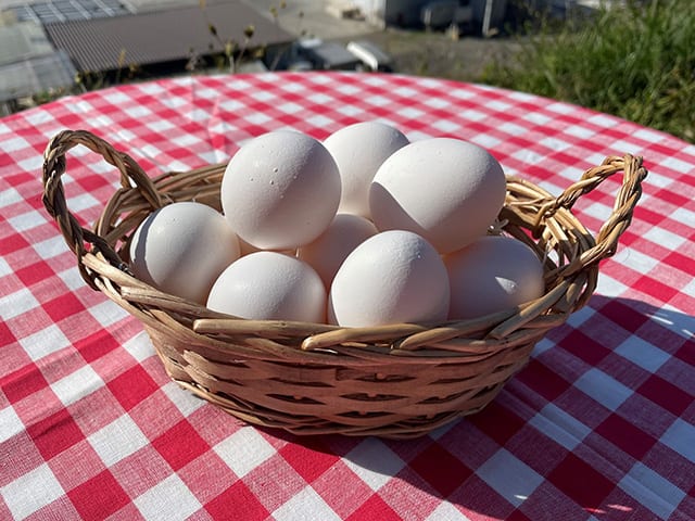 山梨県明野町の契約農家「明野牧場」で採れた卵