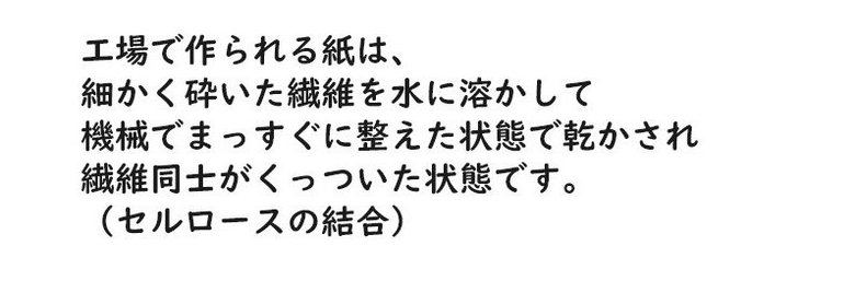 「濡れた紙がシワになる理由(2/6P)」