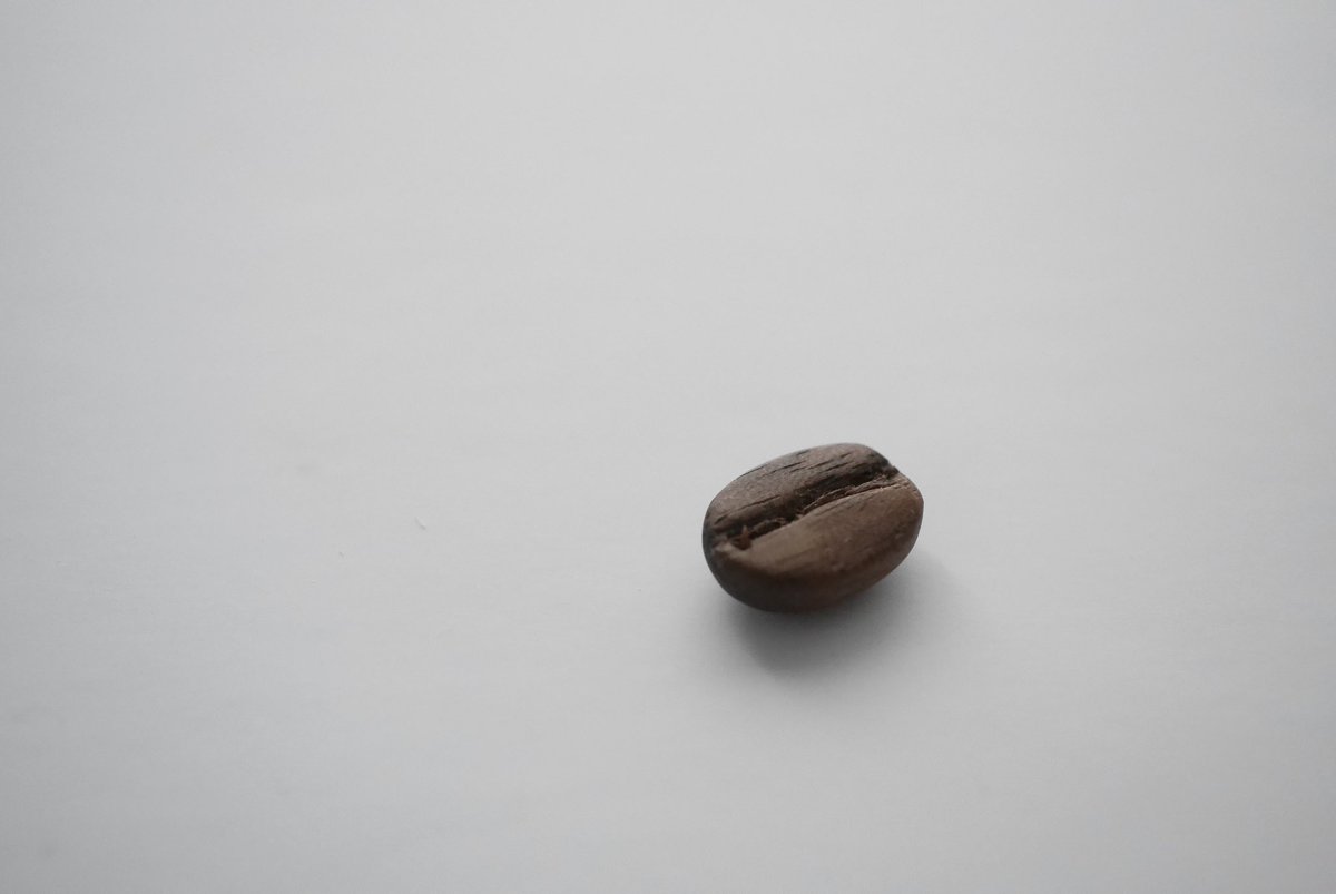 いちばん最初の作品「コーヒー豆」。すべてはここから始まった!