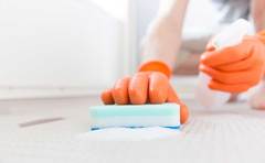 お掃除芸人「お風呂のウロコ汚れに片栗粉」の訳