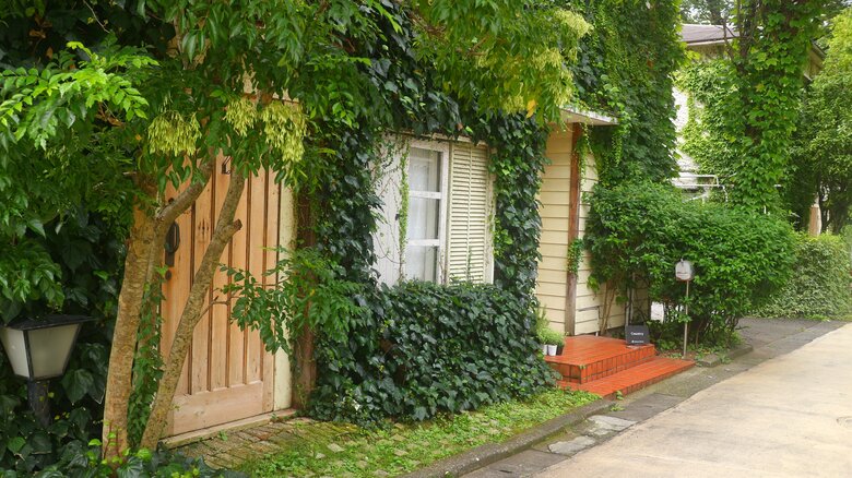 撮影スタジオ・ミモザハウス内「カントリー」 〒150-0047 東京都渋谷区神山町20-5