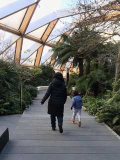 ロンドン在住薬剤師が「あんしん漢方」に出会い働き方を180度変えるまで