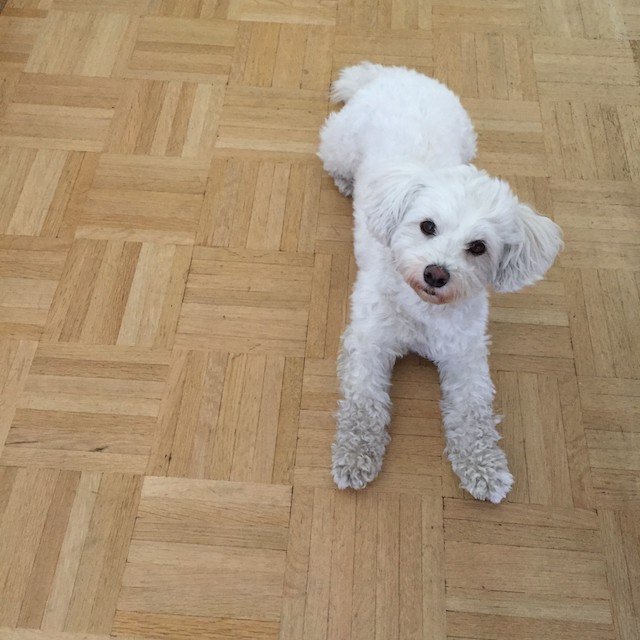 小川糸さん公式サイト：「糸通信」より。