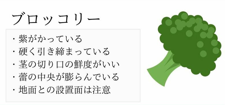 おいしいブロッコリーの見分け方