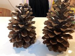 大型松ぼっくりでオリジナルデコレーションに挑戦！
