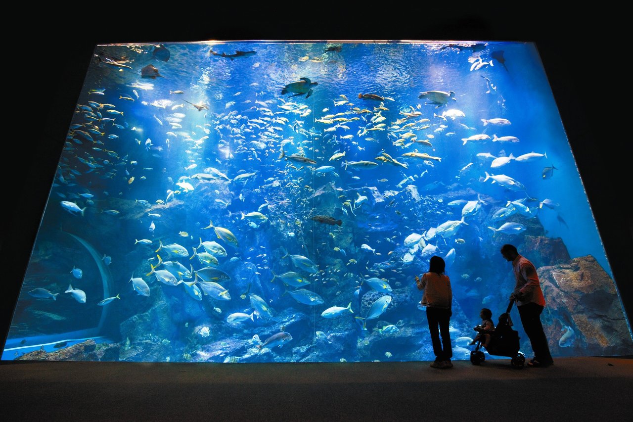 約40種2000匹もの生き物を展示する「男鹿の海大水槽」も見応えたっぷり