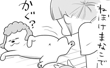 「結婚したけど変えたくない」人気漫画家・松本ひで吉の「動物最優先の暮らし」