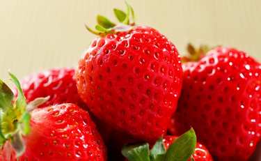 農家が教える美味しいイチゴ３つの特徴「色・ツヤ…あとは？」