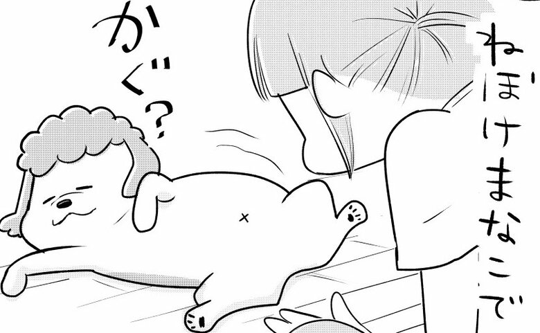 犬くんはとにかくポジティブないい奴