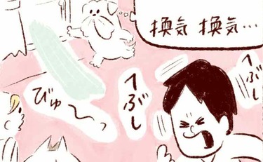 「窓からの風を最大限に有効活用？」