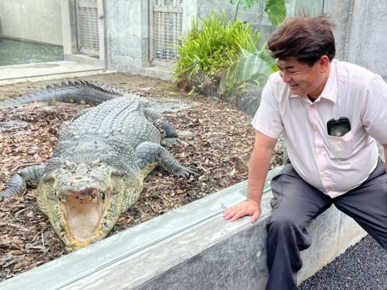 迫力満点のイリエワニ