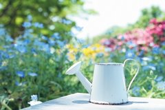 屋上庭園の魅力とは？