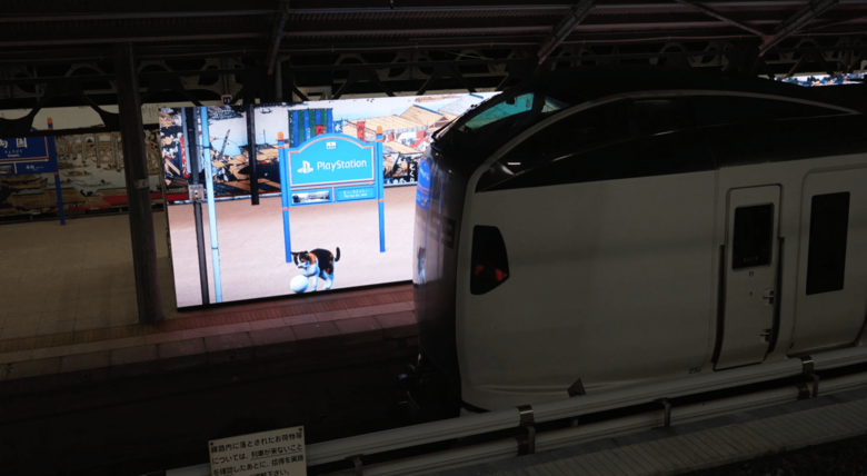 救助されてボールで遊ぶ猫