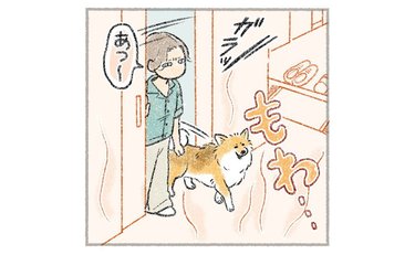 「散歩タイムも即Uターン!?」ご自愛する犬が可愛すぎる！「これは賢い」