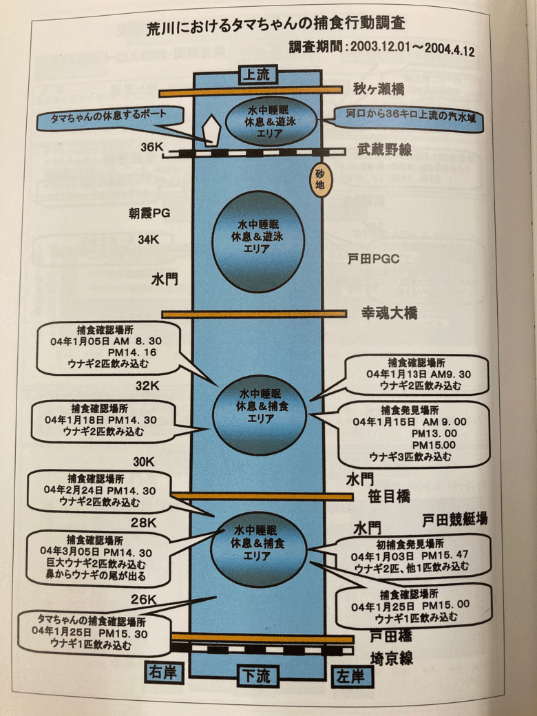 捕食行動も日々観察し記録していた