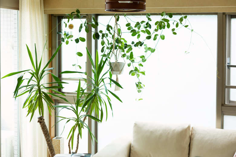 窓際には、今も定期的に訪れる息子さんたちと寛ぐのにちょうどいい2人がけソファを。