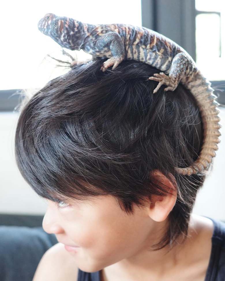 トカゲと息子