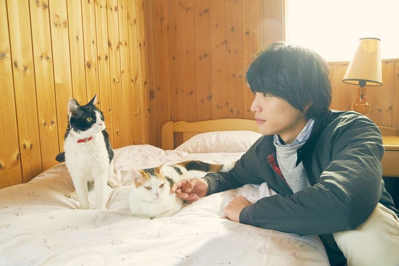 ©2018「旅猫リポート」製作委員会　©有川浩／講談社