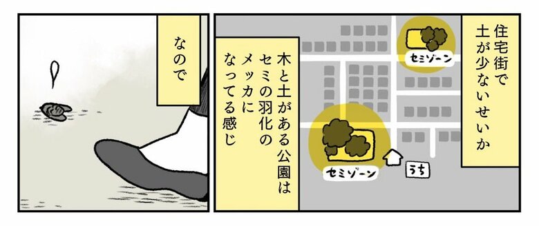 漫画「夏とむすことセミのいのちと」P2
