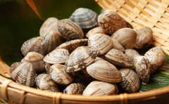 専門店の店主直伝！アサリの旨味を引き出す方法「これでいつもと違う味になる！」