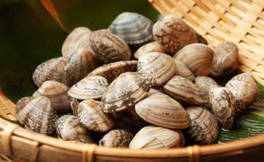 専門店の店主直伝！アサリの旨味を引き出す方法「これでいつもと違う味になる！」