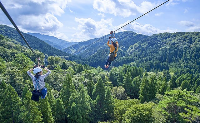 森林レジャー