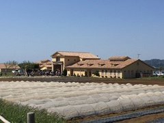 「ソレイユの丘」三浦半島「農」＆「海」まるごと体験パーク！