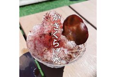 「地味なきくらげをバズらせたい」主婦の思い大爆発「フォロワー数50倍に！」