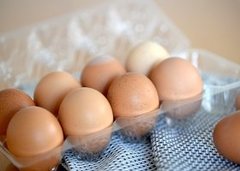 「平飼い有精卵」で、家庭で手軽にできる子供への食育！