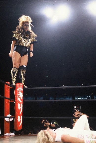 全日本女プロレス、ブル中野、旧ポピー馬場猪木 日本プロレス激闘60年史 (34) – 闘道館