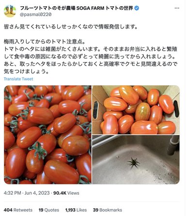 断面がキモいトマト、大丈夫!? 農家の解説に思わず納得「人に教えたく