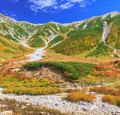 紅葉狩りの満足度は”体感”できるかどうかに左右される
