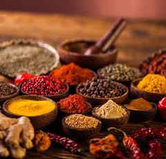 城島リーダー「日本にインドを作る」 スパイス栽培に着手するTOKIOのメンバーが話題！