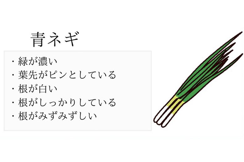 おいしい青ネギの見分け方