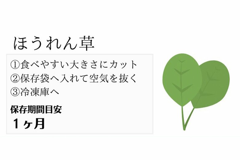 ほうれん草の冷凍保存方法
