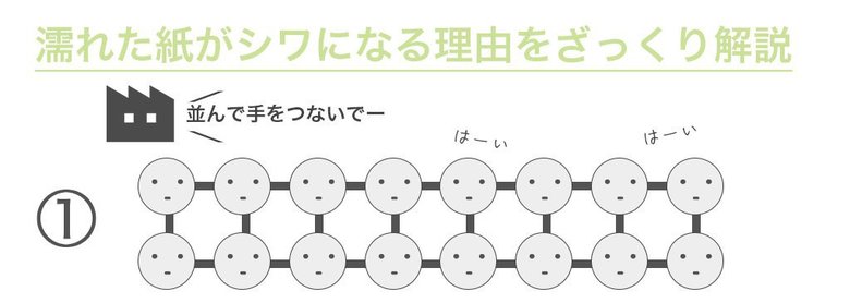 「濡れた紙がシワになる理由(1/6P)」