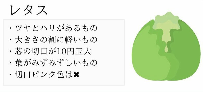 おいしいレタスの見分け方