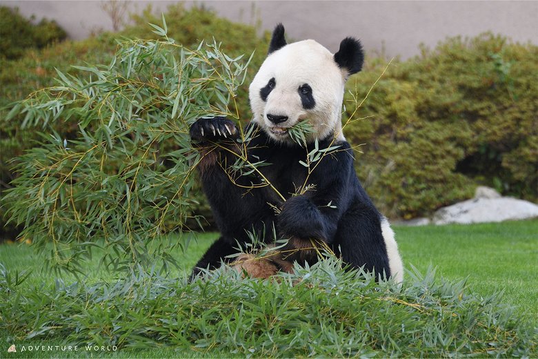まもなく中国へ戻る永明（30歳）